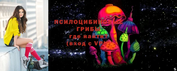 стафф Арсеньев